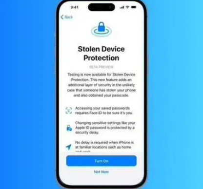 木棠镇苹果授权维修店分享被盗设备保护功能开启方法 