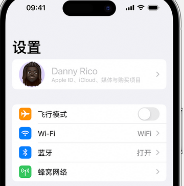 木棠镇appleID维修服务iPhone设置中Apple ID显示为灰色无法使用 