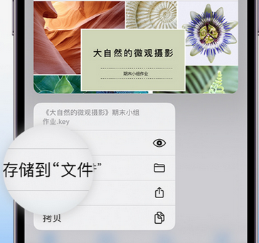 木棠镇apple维修中心分享iPhone文件应用中存储和找到下载文件