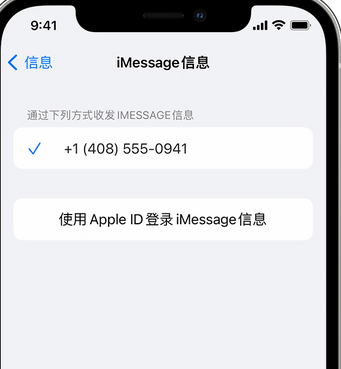 木棠镇apple维修iPhone上无法正常发送iMessage信息 