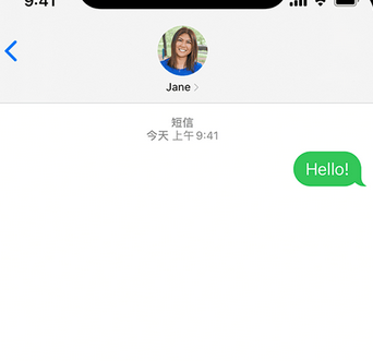 木棠镇apple维修iPhone上无法正常发送iMessage信息