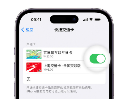 木棠镇apple维修点分享iPhone上更换Apple Pay快捷交通卡手绘卡面 