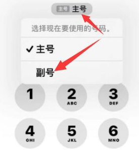 木棠镇苹果14维修店分享iPhone 14 Pro Max使用副卡打电话的方法 