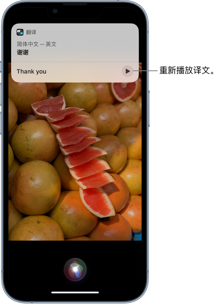 木棠镇苹果14维修分享 iPhone 14 机型中使用 Siri：了解 Siri 能帮你做什么 