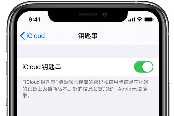 木棠镇苹果手机维修分享在 iPhone 上开启 iCloud 钥匙串之后会储存哪些信息 