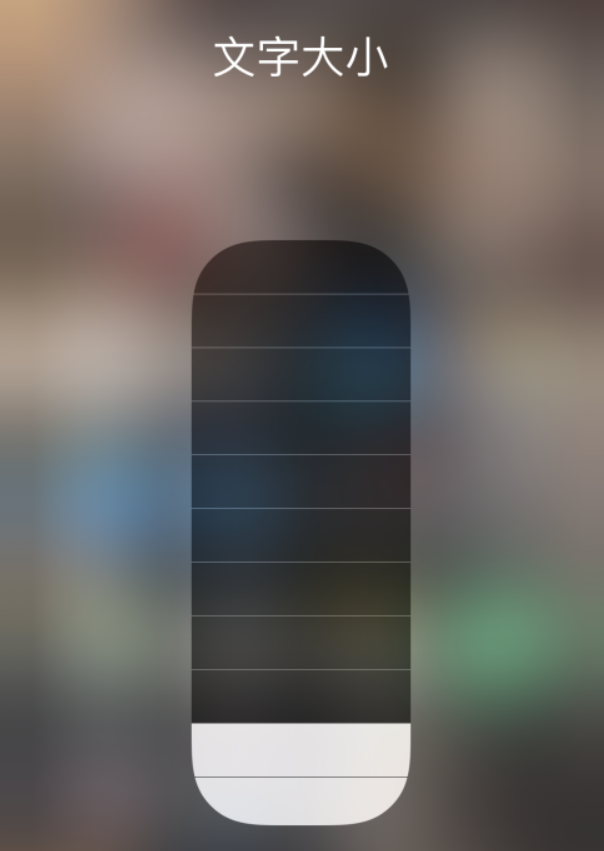 木棠镇苹果手机维修分享小技巧：在 iPhone 控制中心快速调节字体大小 