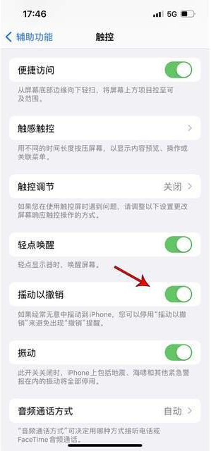 木棠镇苹果手机维修分享iPhone手机如何设置摇一摇删除文字 